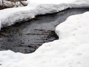 Танув сніг